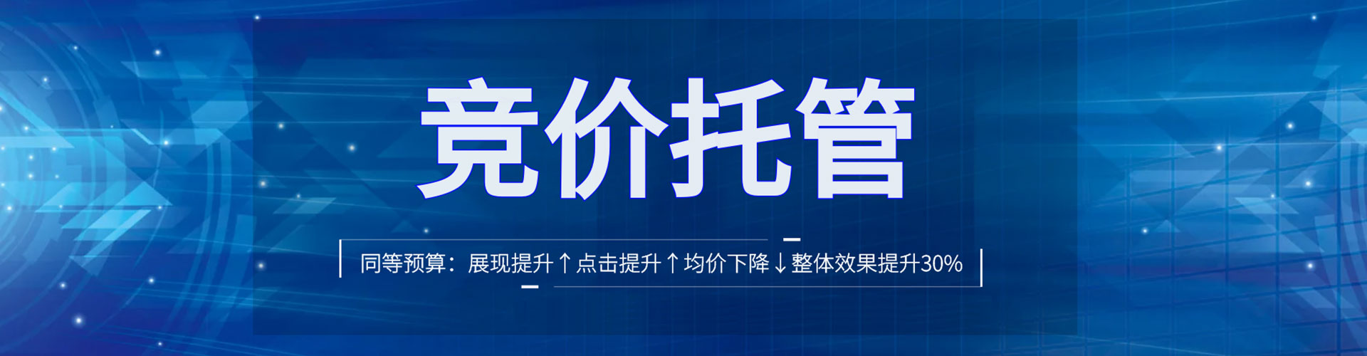 双柏竞价托管
